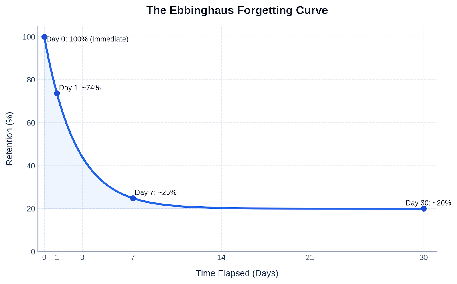 forgetting curve